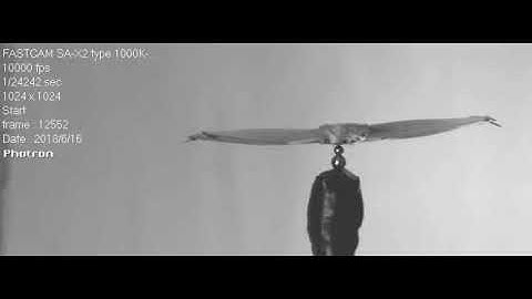 Ion wind technology breakthrough takes flight at SUNY Oswego