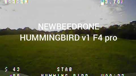 NEWBEEDRONE HUMMINGBIRD V1 F4 PRO 1S BRUSHLESS BNF FRSKY D8/D16 65MM WHOOP