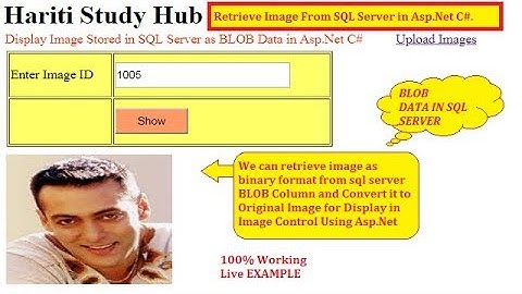 Retrieve Image From SQL Server BLOB Column in Asp.Net C# | Hindi | Free Online Learning Class