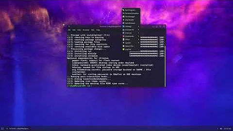 Linux user installing a web browser