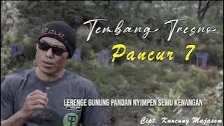 Kuncung majasem - tembang tresno pancur 7 (video lirik)