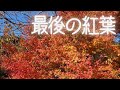 偶然 見つけた登山道 ゆっくりトレッキング 登山客のいない山道は荒れていました 今年最後の紅葉を堪能してソロキャンプ