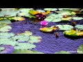 作業用BGM・激しく降る雨120min/Rain Sound
