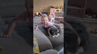 Little girl pets cat on couch then she pats its back and she gets bit on her arm