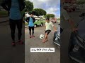 Hamadachroukat Chroukat Ilyassclip BizigaHakim Dar Chaabia HamadaChroukate тАЛтБа Hamadachroukat Chroukat Ilyassclip BizigaHakim Dar Chaabia HamadaChroukate тАЛтБа