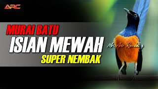 Download Lagu PANCINGAN EMOSI PENDONGKRAK MENTAL MURAI BATU CEPAT GACOR SIAP LOMBA MP3 Download Lagu PANCINGAN EMOSI PENDONGKRAK MENTAL MURAI BATU CEPAT GACOR SIAP LOMBA MP3