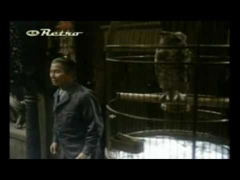Ranker Video