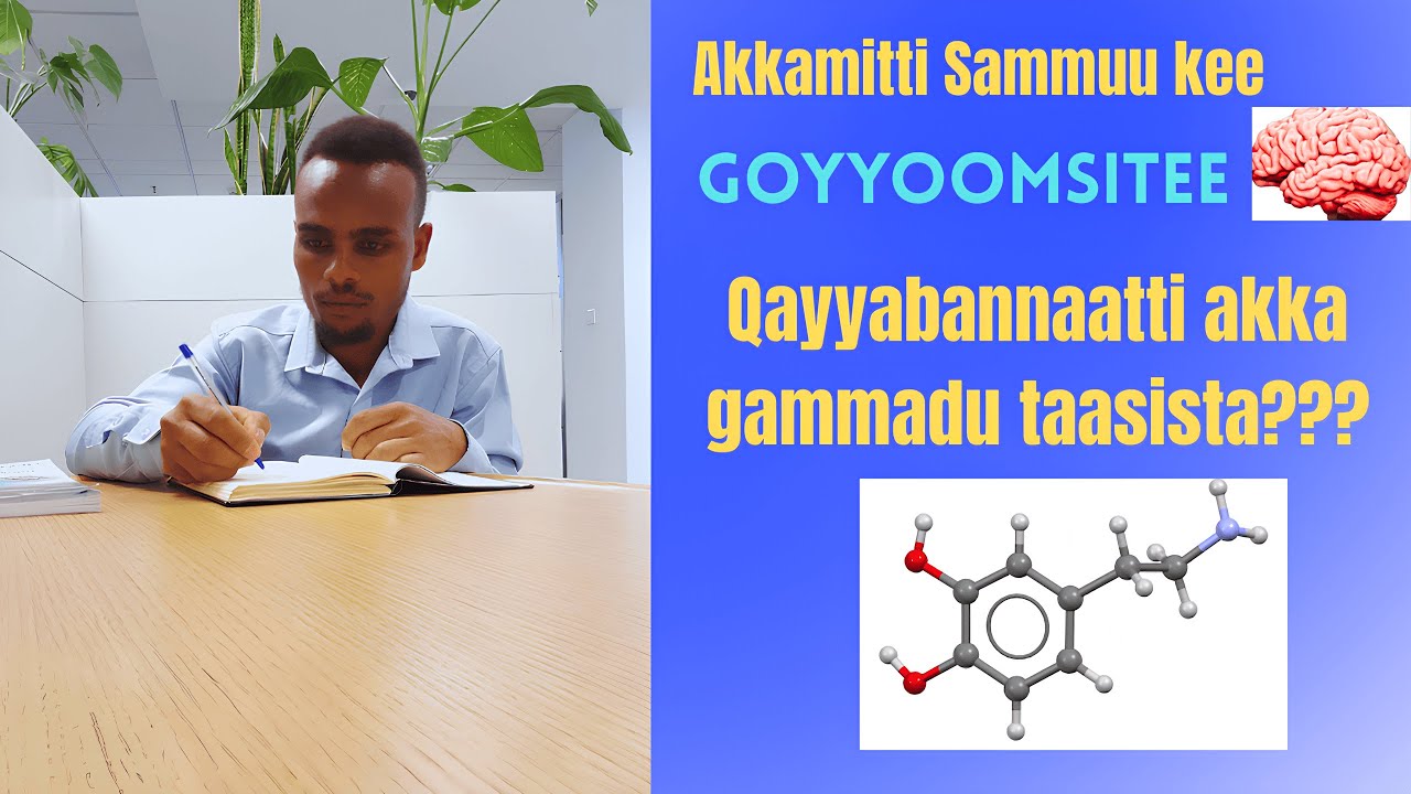 Akkamitti Sammuu kee goyyoomsitee qo'annaatti akka gammaduu goota. How to trick your brain to study