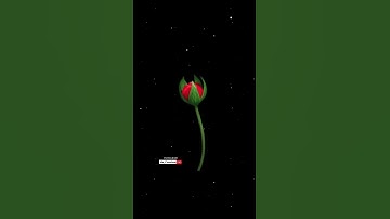 #Z Letter Name Status❤️||Name art Video😍||Whatsapp status💘||2022  #ms_creation243