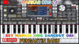 SET MANUAL ORG PENGANTIN BARU BERASA MAIN DI HAJATAN