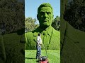 How I mowed a giant face into my yard #lawncare #artprocess #creative