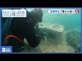#31 藻場の再生へ、漁師たちの想い｜海と日本PROJECT in 富山
