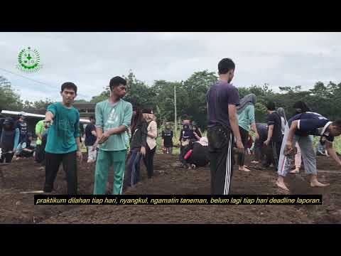 Video: Perbedaan Antara Agronomi Dan Hortikultura