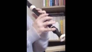 Haydn Surprise Symphony on Aulos Alto Treble Recorder