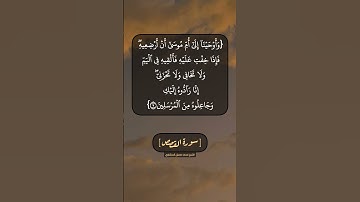 سورة القصص الآية ٥ الى ٧ بصوت الشيخ محمد صديق المنشاوي