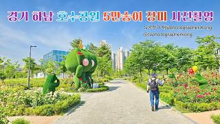 미사호수공원 영상