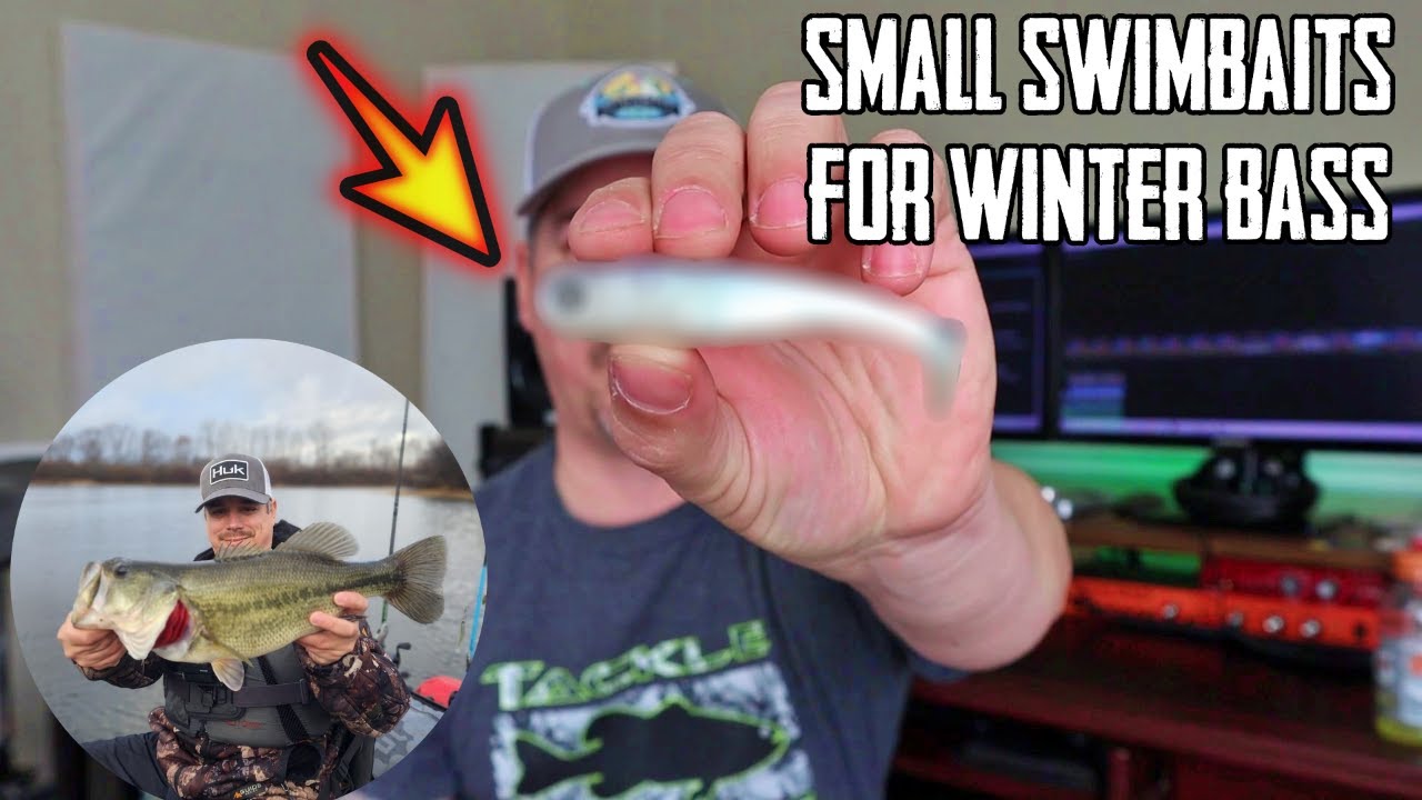 You NEED this SMALL SWIMBAIT for WINTER BASS