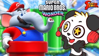 Super Mario Bros Wonders!!