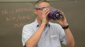 Acid and Bases pH Experiment (w/ Red Cabbage Indicator)