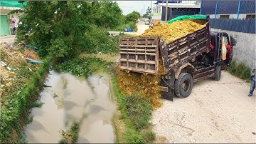 Be Watchful Started A New Project!Dump Truck Fillland Delete Canal,By Skill Dozer D20 Pushing Soil 