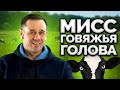 КОЛЛЕКТОРША ОТ БЕССИЛИЯ 0БС0САЛА ГАРНИТУРУ! 😂 | Как не платить кредит | Кузнецов | Аллиам