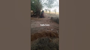 #تكريب النخل#سعد_العتيق #ترند #تيك_توك #تلاوة_خاشعة #تونس #الجزائر #السعودية #اليمن #مصر #العراق