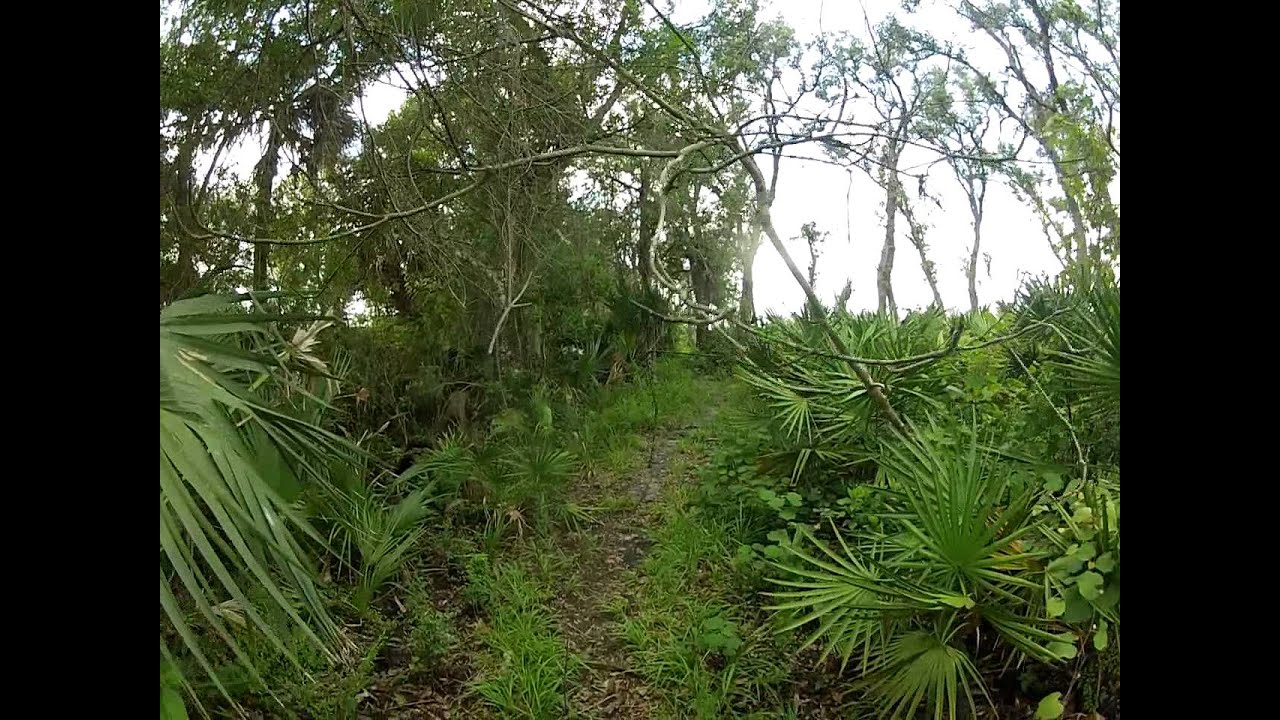 indian mounds in florida Hiking at Myakka River State Park