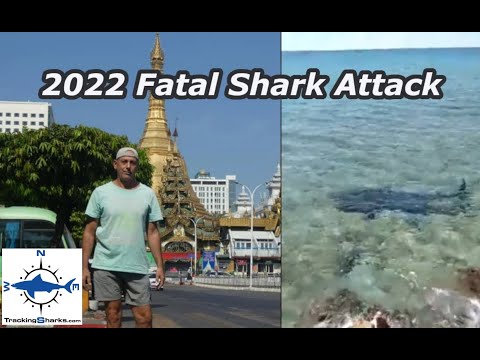 2022 Fatal Shark Attack Colombia