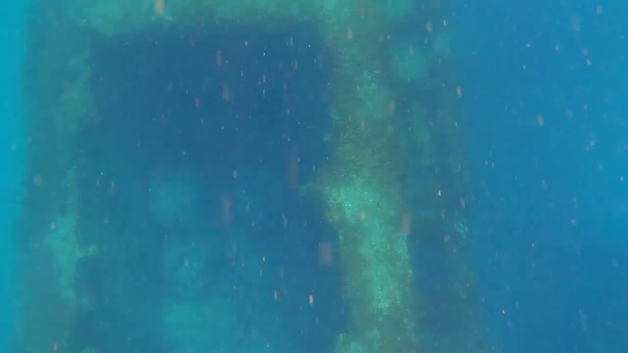 🐢❤🌊 אוניית המלט הטורקית