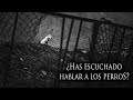 ESCUCHAMOS HABLAR A LOS PERROS (Y MÁS EXPERIENCIAS PARANORMALES)