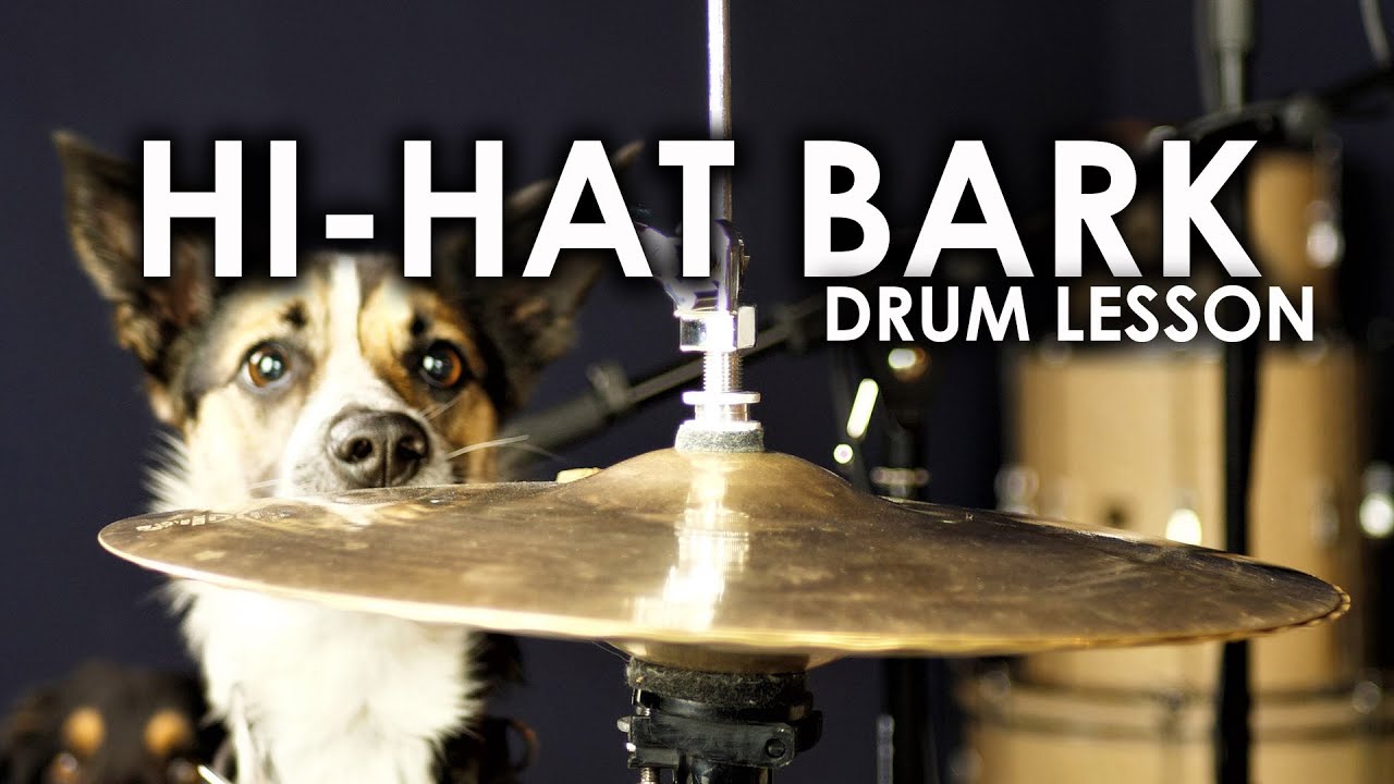 What is a HiHat Bark, and How do I Use Them? YouTube