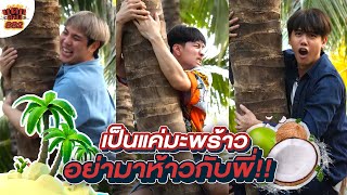 แตกสาม SS2 | ขอเป็นเขยสวนมะพร้าว! เก็บลูกบนจุกยันลูกล่าง… (ENG SUB)