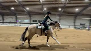 Reining with Spooks Gotta Cinch 3/2026 2nd place