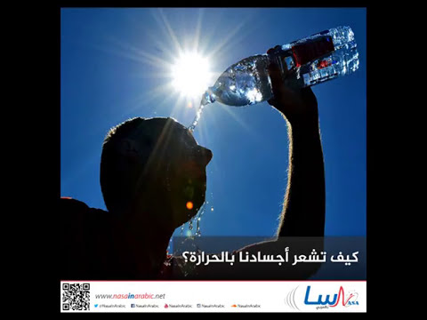 كيف تشعر أجسادنا بالحرارة؟