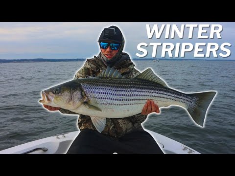 Fishing For BIG Winter STRIPERS On The Chesapeake Bay! (Light Tackle  Jigging!) 