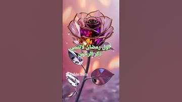 #قران #قران كريم #المصحف #اكسبلورهاشتاقات #قرآن