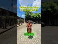 Mutiara Taman Palem LT 4x15mt.2lantai KT2.KM2.SHM.timur rp 1.775 #mutiaratamanpalem