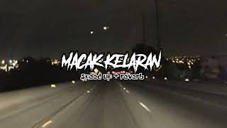 Macak Kelaran ~ Damara De Ft Tadeus Lavora (Speed Up + Reverb)