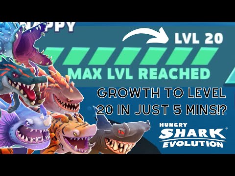 How to Level Up Evolved Sharks to Level 20 in just 5 mins?! | Glitch Found! | @dragonheartgaming123