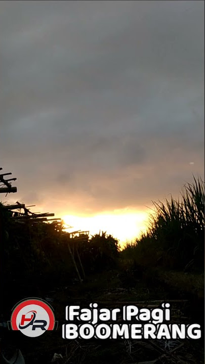 Fajar Pagi Kau Ku Resapi || Fajar Pagi Boomerang || WA Story