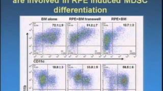 Myeloid Suppressor Cells Induced By Retinal Pigmentation Epithelial Cells Inhibit Autoreactive