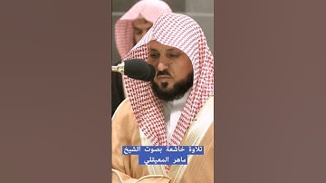 #تلاوة_رائعة #تلاوة_خاشعة #تلاوة_هادئة #تجويد #ماهر_المعيقلي #المعيقلي #السعودية #الجزائر #الحرم