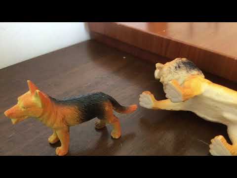 IMG 0728