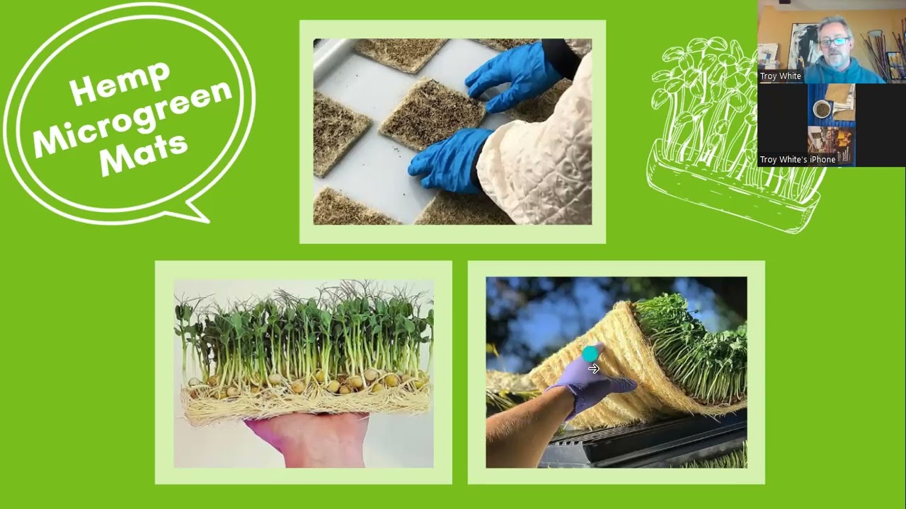 Harris Seeds/Biocomposites Group - Growing Nutritious Microgreens with the Terrafibre Hemp Mats