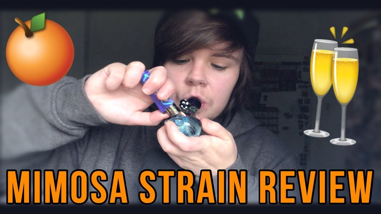 Mimosa Strain Review