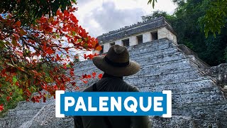 ?? Palenque, LA GRAN CIUDAD MAYA DE MÉXICO. Cascadas de Agua Azul y Misol-Há.