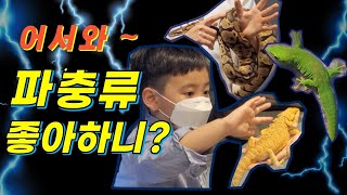 은산어울림생태박물관 영상