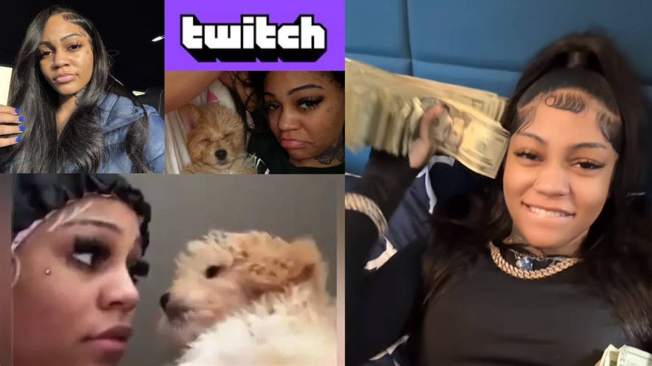 Streamer Aspen Kartier Faces Backlash After Dog Abuse on Livestream ...