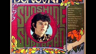 The Trip by Donovan on 1966 Mono Epic LP.