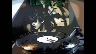 THE WATERBOYS - I Will Not Follow (Filmed Record) 1984 Vinyl Mini-LP Album Version